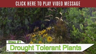Conservation Video